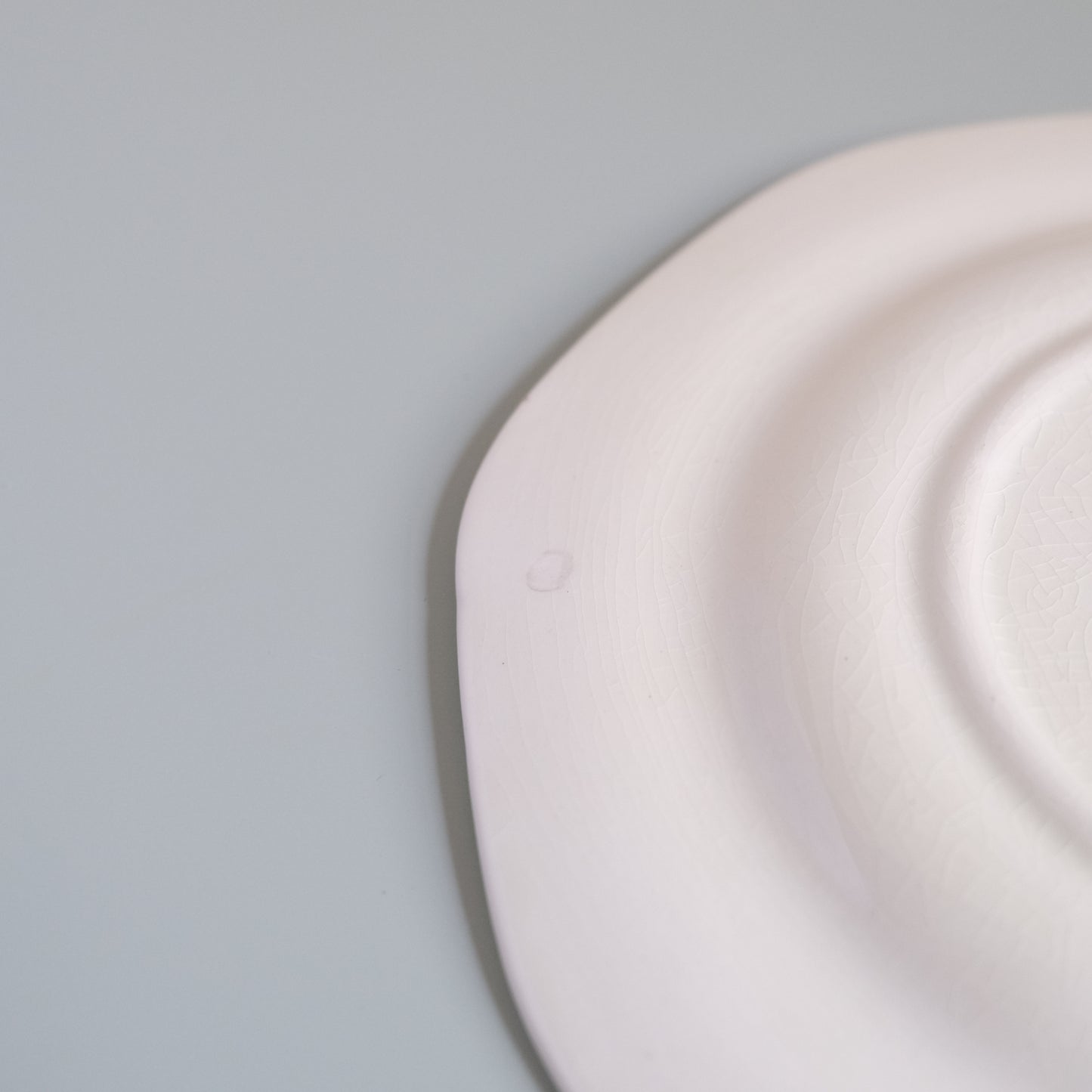 Vintage Carlton Ware Wild Rose Plate